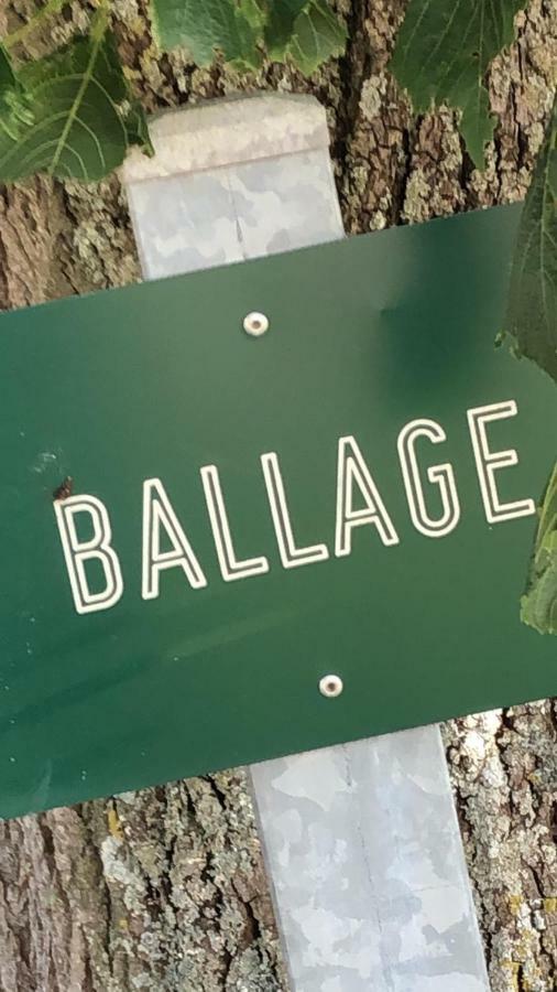 Le Gite De Ballage Chemille-Sur-Deme المظهر الخارجي الصورة